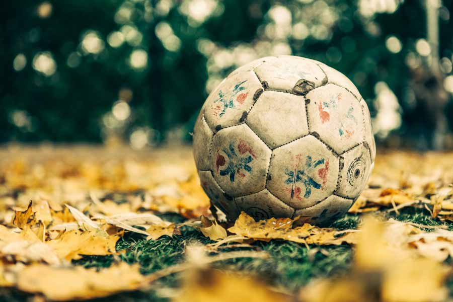 Pelota de fútbol sobre pasto y hojas